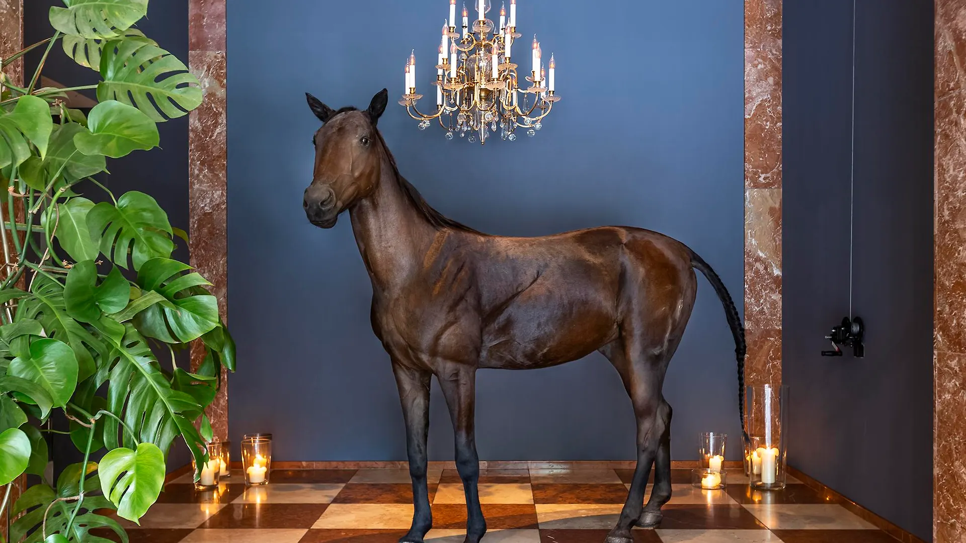 Grand Ferdinand Vienna - Your Hotel In The City Center 5*,