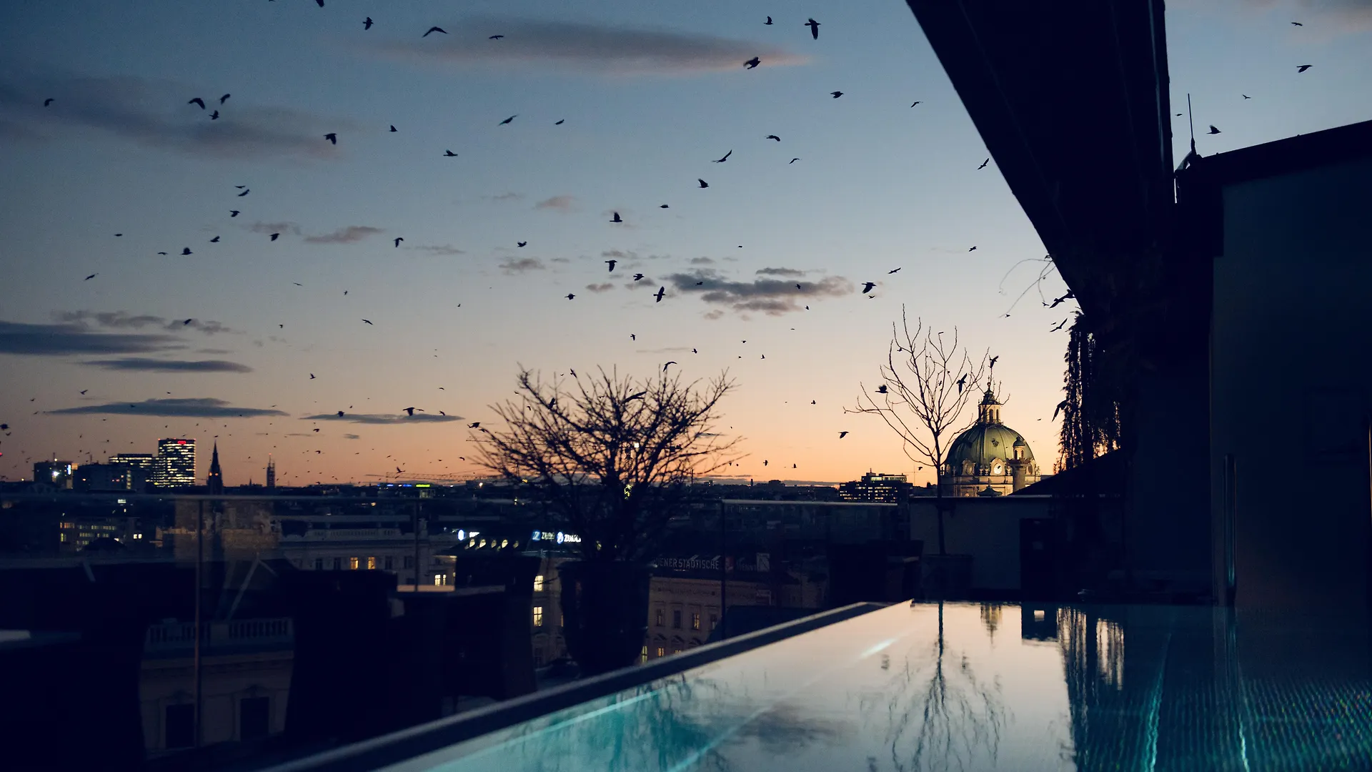 Grand Ferdinand Vienna - Your Hotel In The City Center