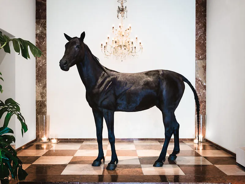 Grand Ferdinand Vienna - Your Hotel In The City Center